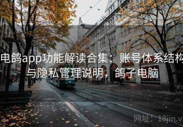 电鸽app功能解读合集：账号体系结构与隐私管理说明，鸽子电脑
