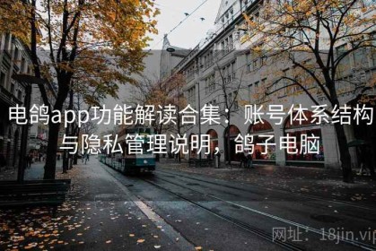 电鸽app功能解读合集：账号体系结构与隐私管理说明，鸽子电脑