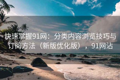 快速掌握91网：分类内容浏览技巧与订阅方法（新版优化版），91网沾