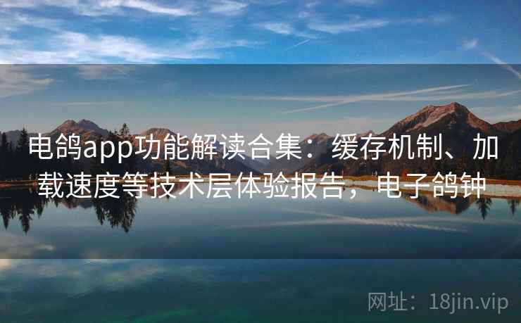 电鸽app功能解读合集：缓存机制、加载速度等技术层体验报告，电子鸽钟