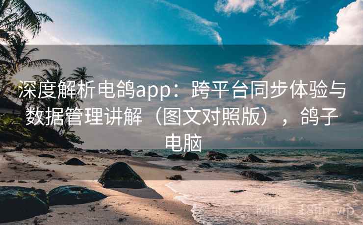 深度解析电鸽app:跨平台同步体验与数据管理讲解(图文对照版),鸽子电脑 深度解析电鸽app:跨平台同步体验与数据管理讲解(图文对照版),鸽子电脑