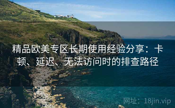 精品欧美专区长期使用经验分享：卡顿、延迟、无法访问时的排查路径