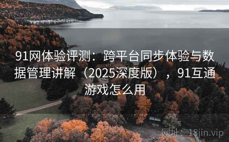 91网体验评测:跨平台同步体验与数据管理讲解(2025深度版),91互通游戏怎么用 91网体验评测:跨平台同步体验与数据管理讲解(2025深度版),91互通游戏怎么用