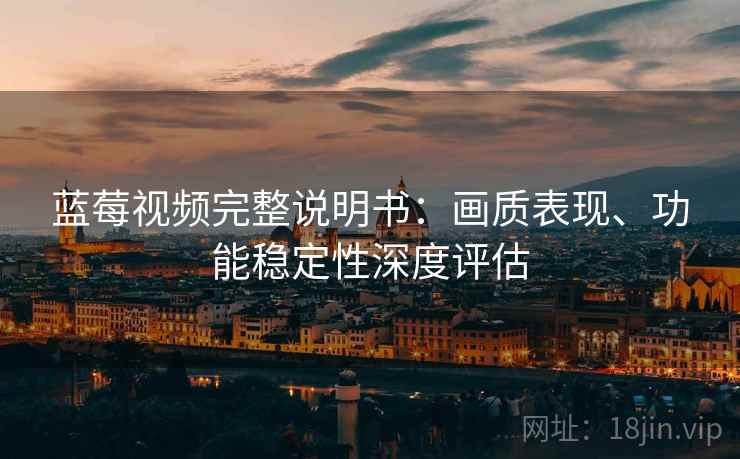 蓝莓视频完整说明书：画质表现、功能稳定性深度评估