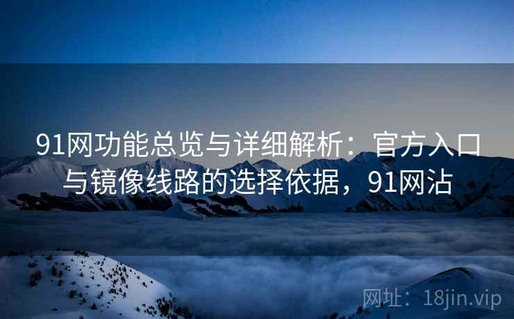 91网功能总览与详细解析：官方入口与镜像线路的选择依据，91网沾