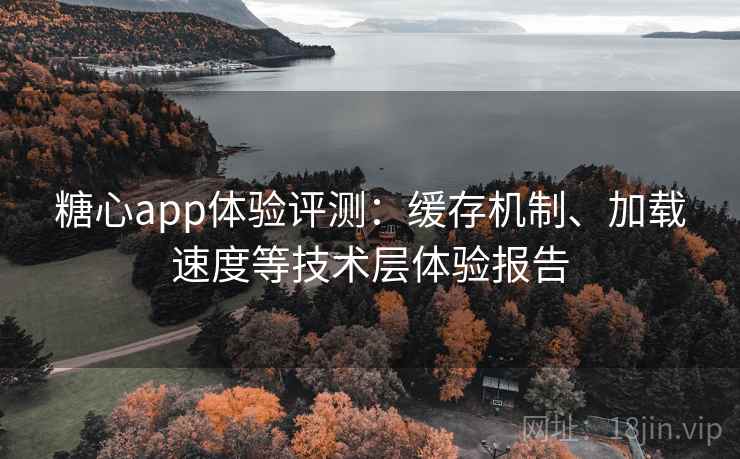 糖心app体验评测:缓存机制、加载速度等技术层体验报告 糖心app体验评测:缓存机制、加载速度等技术层体验报告