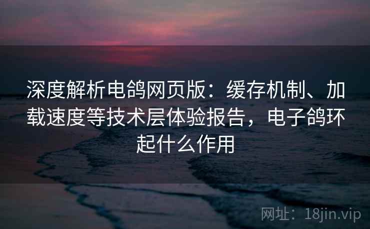深度解析电鸽网页版：缓存机制、加载速度等技术层体验报告，电子鸽环起什么作用