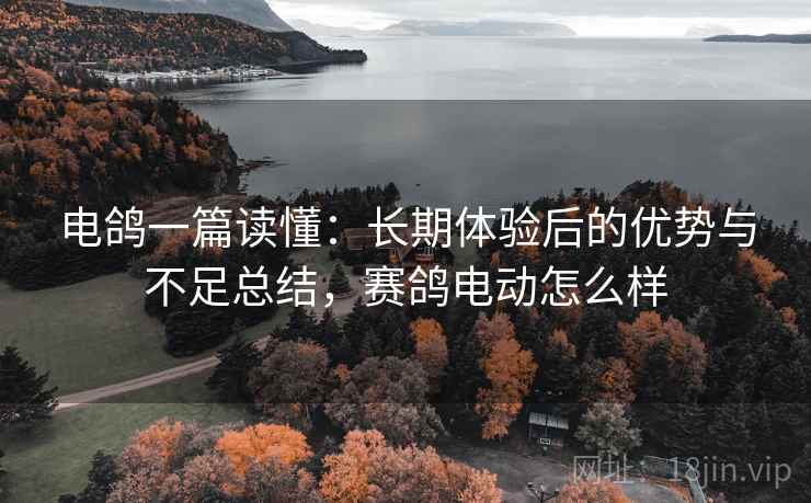 电鸽一篇读懂：长期体验后的优势与不足总结，赛鸽电动怎么样