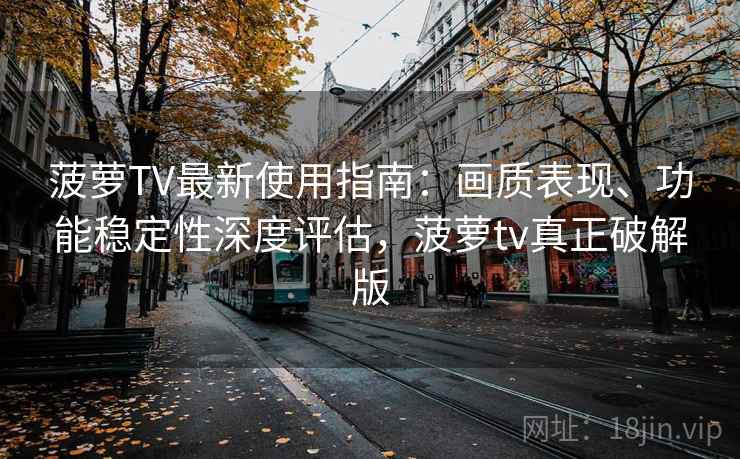 菠萝TV最新使用指南：画质表现、功能稳定性深度评估，菠萝tv真正破解版
