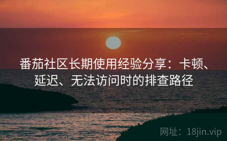 番茄社区长期使用经验分享：卡顿、延迟、无法访问时的排查路径