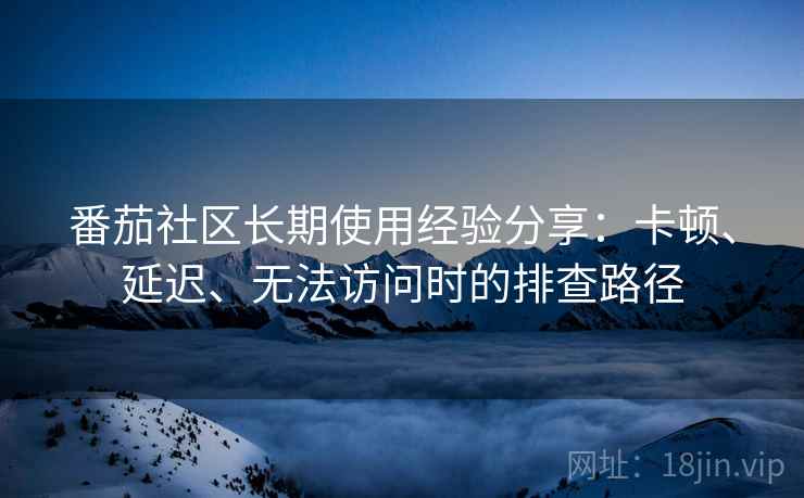 番茄社区长期使用经验分享：卡顿、延迟、无法访问时的排查路径