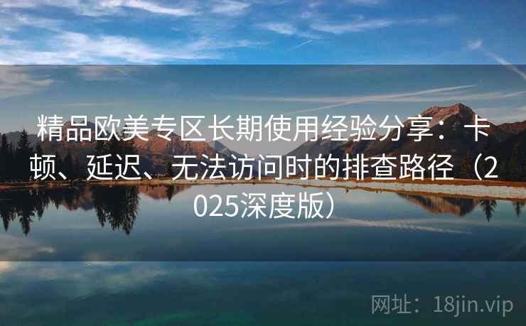 精品欧美专区长期使用经验分享：卡顿、延迟、无法访问时的排查路径（2025深度版）
