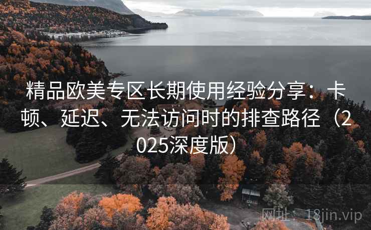 精品欧美专区长期使用经验分享：卡顿、延迟、无法访问时的排查路径（2025深度版）