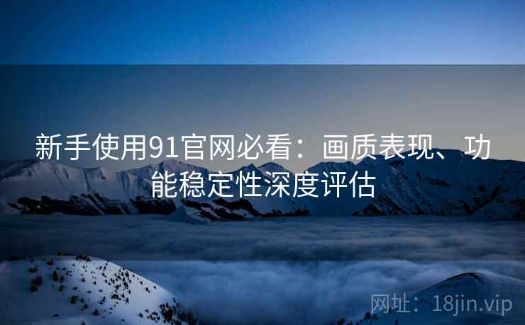 新手使用91官网必看:画质表现、功能稳定性深度评估 新手使用91官网必看:画质表现、功能稳定性深度评估