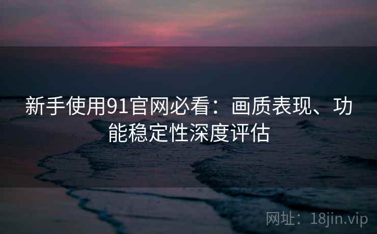 新手使用91官网必看:画质表现、功能稳定性深度评估 新手使用91官网必看:画质表现、功能稳定性深度评估