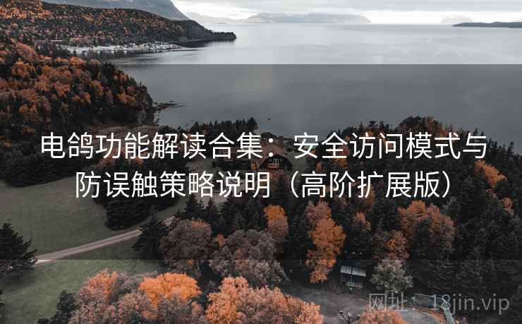电鸽功能解读合集：安全访问模式与防误触策略说明（高阶扩展版）